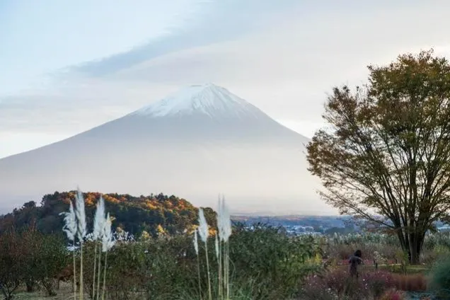 Японският туризъм се подготвя за предстоящите зимни студове