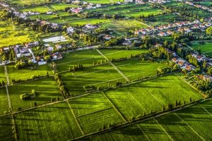 Шанхайският курс на класациите Chongming за висококачествен и устойчив растеж