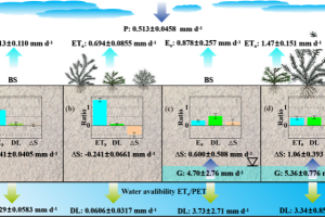 Растителността ограничава пълзенето на пустинята