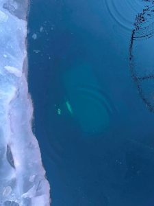 Mainland приветства тайванските предприятия да се стремят към развитие на фона на шума около победата на мотоциклети