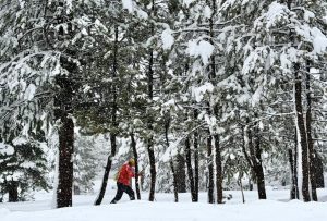 Олимпийските цели на Ушу се оформят в Тиендзин