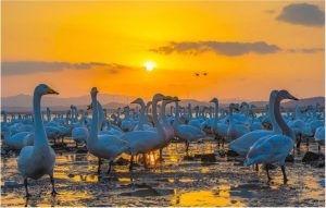 Weihai на Shandong въвежда целеви мерки за увеличаване на потреблението