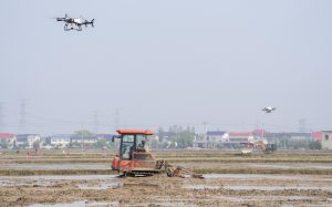 Фермата за ориз Хунан приема интелигентен вариант